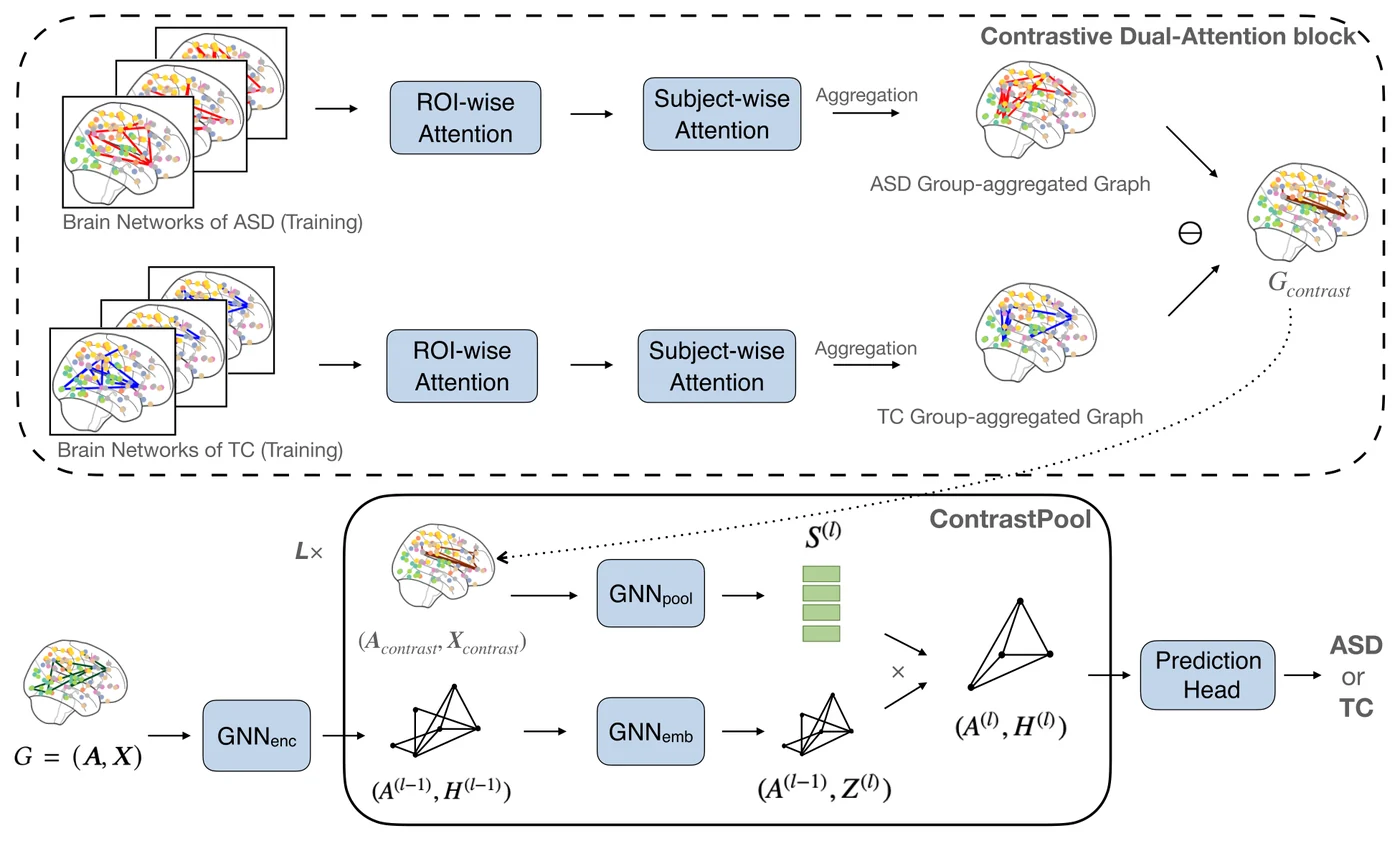 Study design figure: Contrastive graph pooling for brain networks